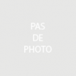 Cerisier Sweetheart' - scion de 1 an en  poche de terreau (H : 120 cm)
